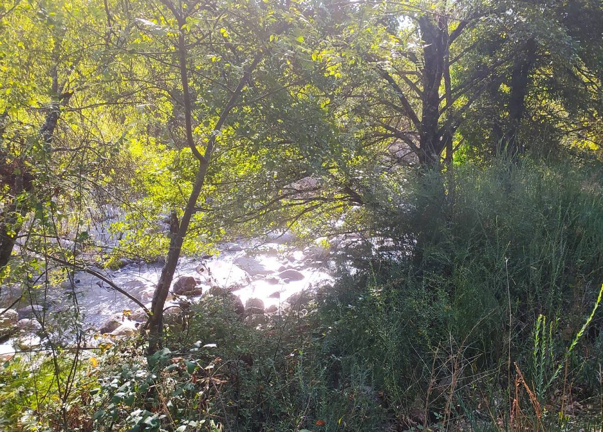 Espacio Hogar Amatista